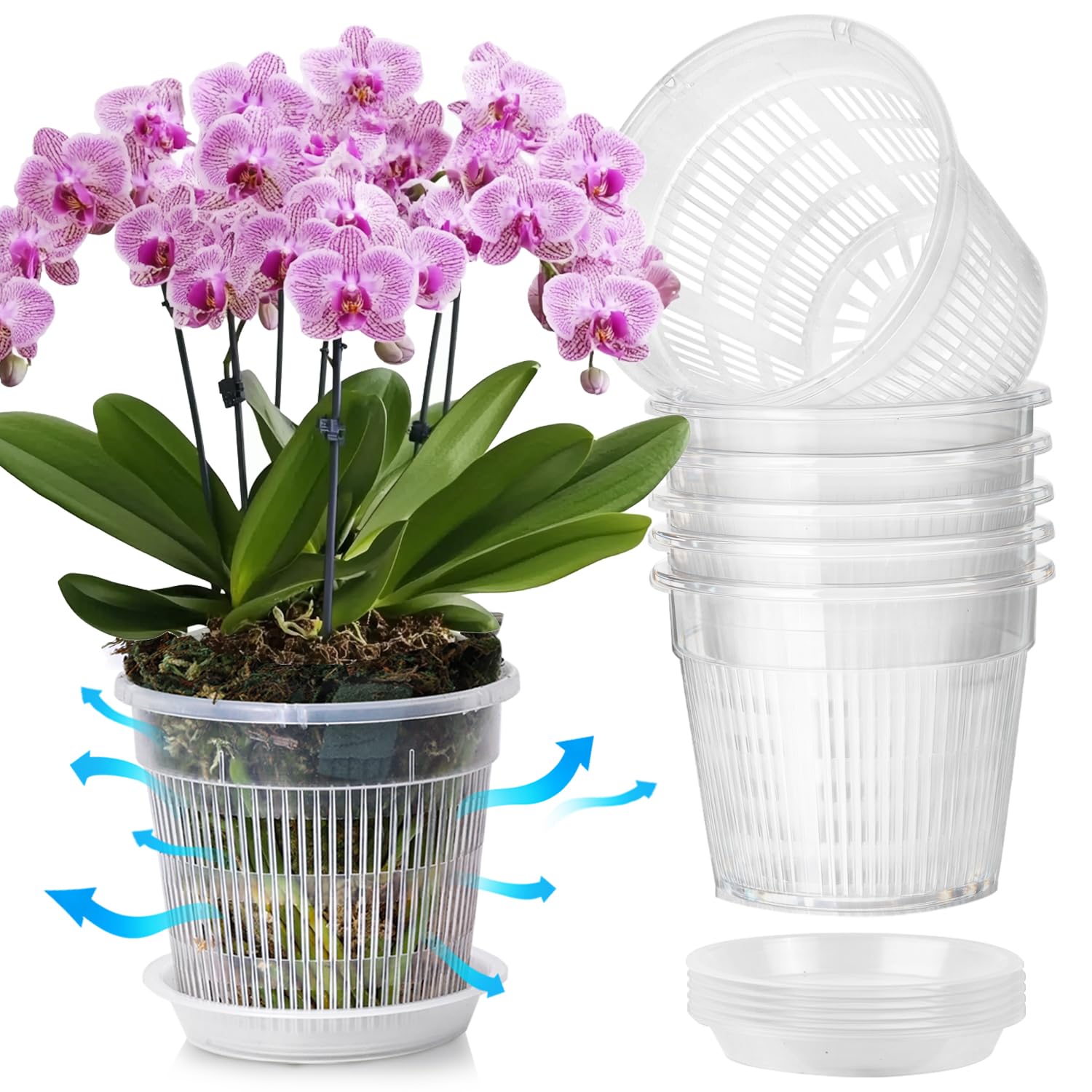 T4U 6-Pack Orchid Pots with Saucers