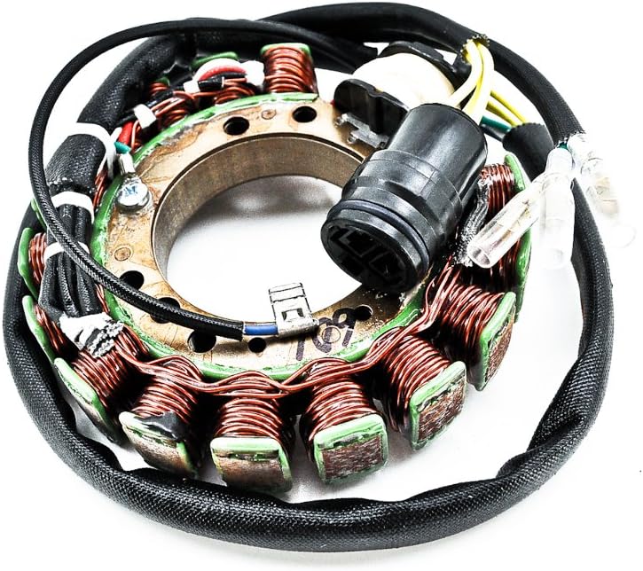 Ricks Motorsport Electric 21-601 Stator