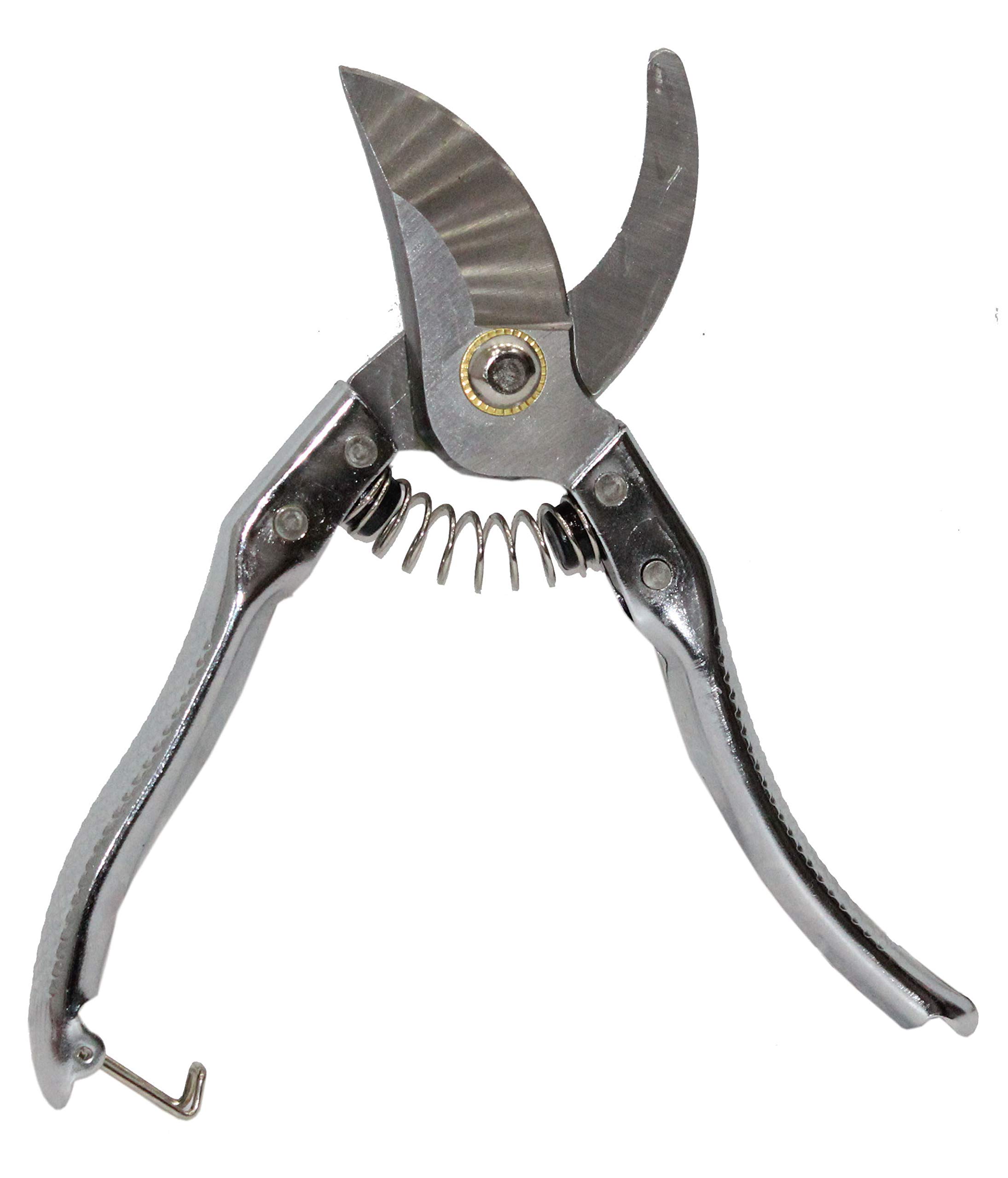 Digital Craft Stainless Steel Garden Shears Pruning Scissors – Bonsai Cutting Tool, Flower Cutter, Plant Trimmer, Secateurs for Branch & Stem, Plant Pruner for Home Gardening - Image 2 thumbnail