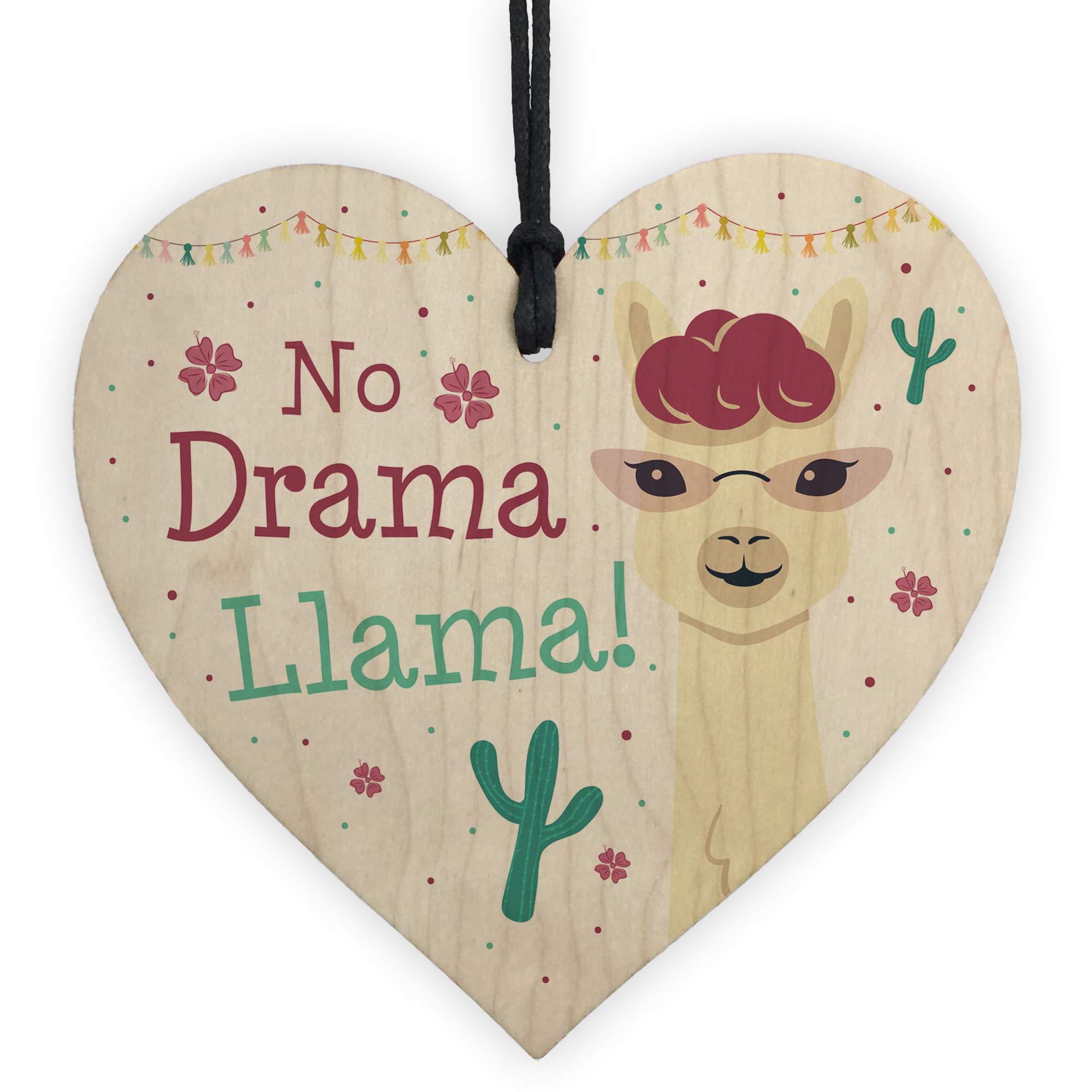 RED OCEAN Llama Gift Novelty Friendship Gift Funny Birthday Gift For Girls Gifts For Friend Cute Keepsake Present