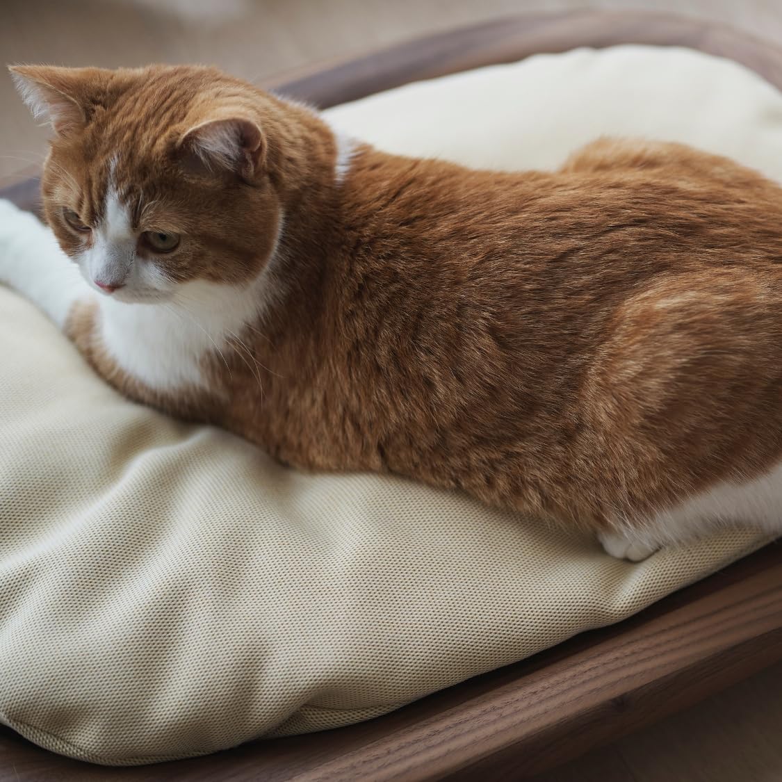 Amazon.co.jp: [カリモク家具] KARIMOKU CAT BED 猫 ベッド 木製 日本 