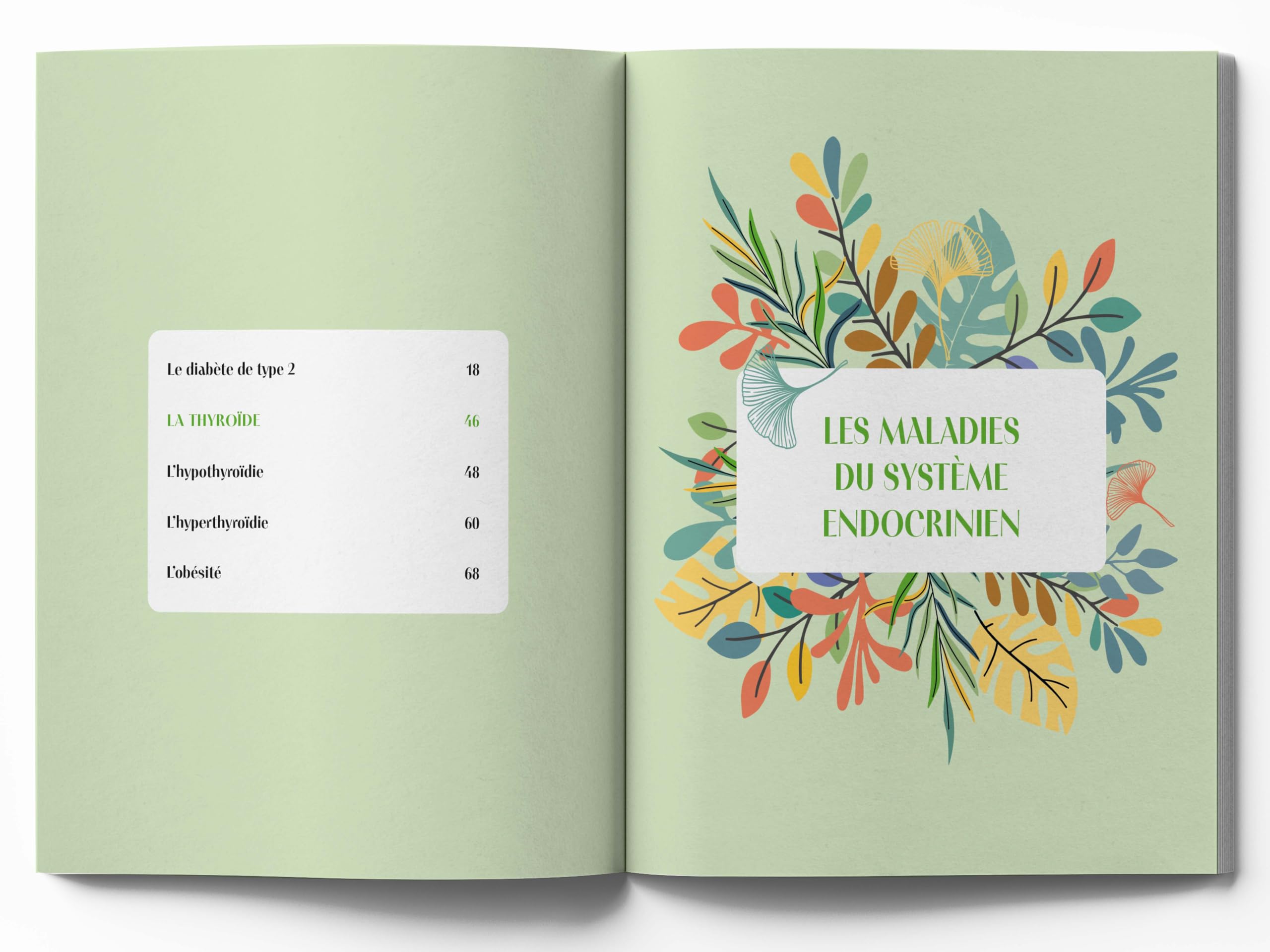 Le guide familial de la santé - Endocrinologie Gynécologie Neurologie Ophtalmologie Ostéoarticulaire Urologie - Tome 2: Tous les conseils issus des médecines complémentaires pour vous accompagner