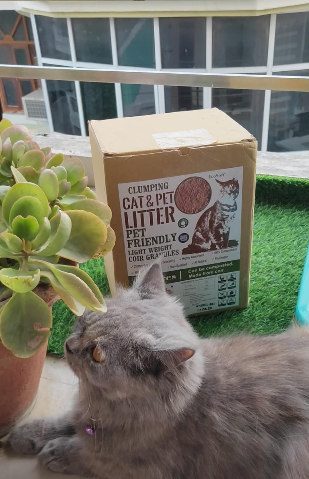 Buy EcoSoft Organic Cat Litter 12 litre (Pack Of 2) Plant based