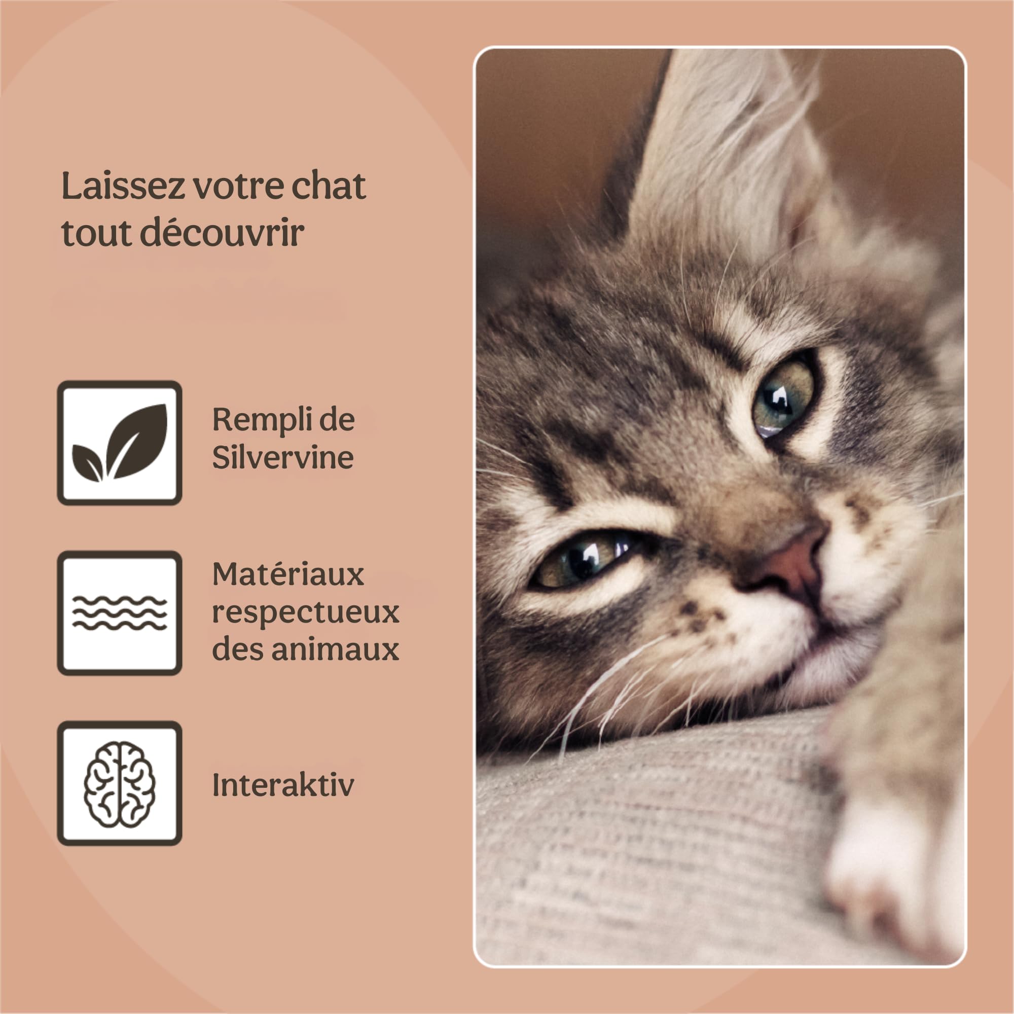 Rosewood Animal Bourré de Matatabi, Grande Taille pour Chat