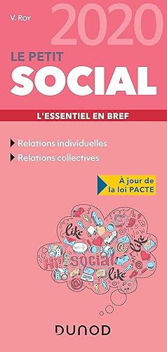 Le Petit Social 2020 - L'essentiel en bref: L'essentiel en bref (2020)