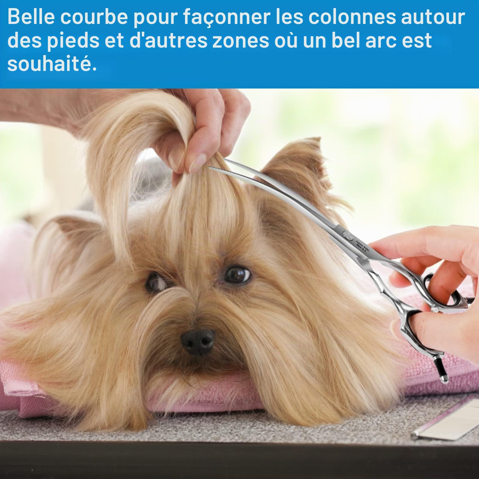 HASHIMOTO Ciseaux de toilettage pour chiens, 6.5 pouces, lames courbes à 30 degrés, poids léger, ciseaux pour animaux de compagnie pour couper le visage et les pattes.