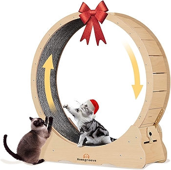 Homegroove Large Cat Treadmill Wheel