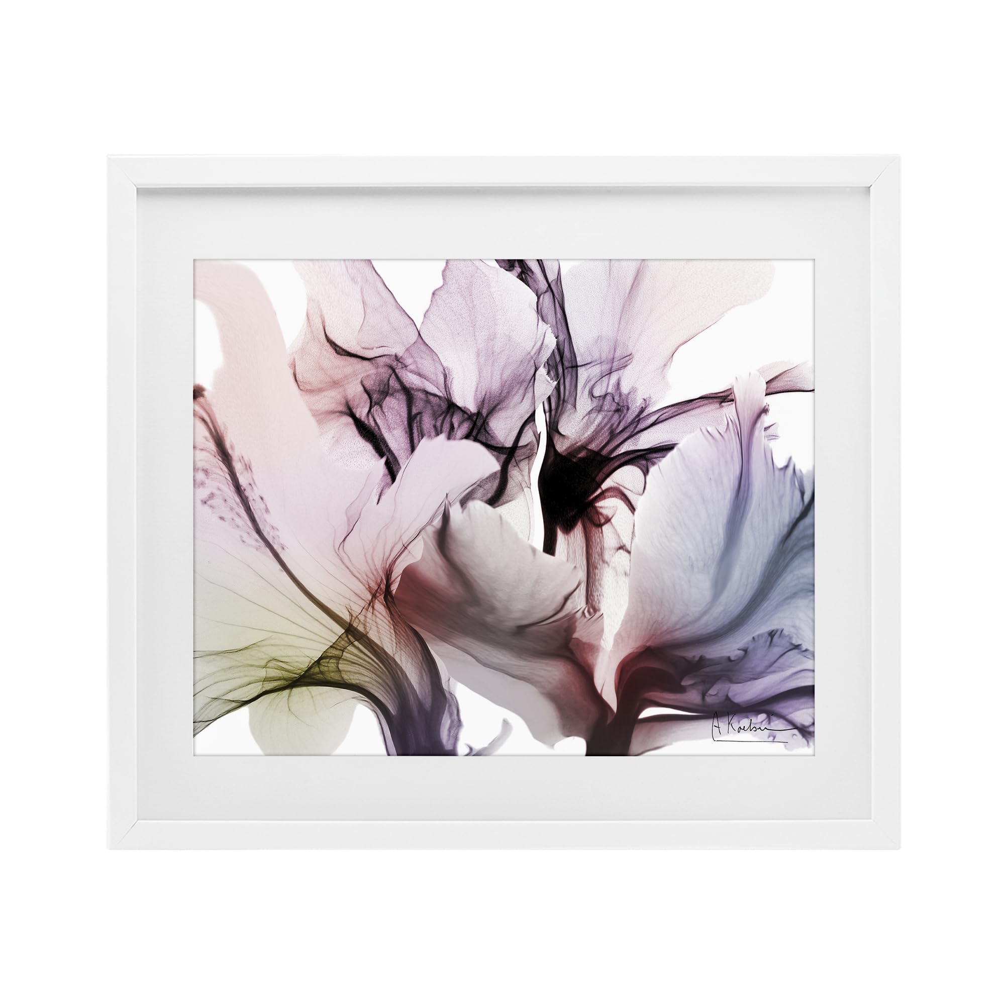 Stupell Industries 'Brilliant Song Flower Petals', Framed Print Under Glass, White, 21 x 17 Inches, Easy to Hang and Sturdy, Made in USA, by Albert Koetsier