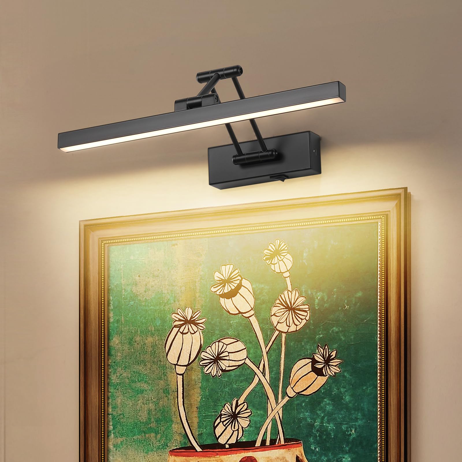 Pasoar black picture light - Image 2