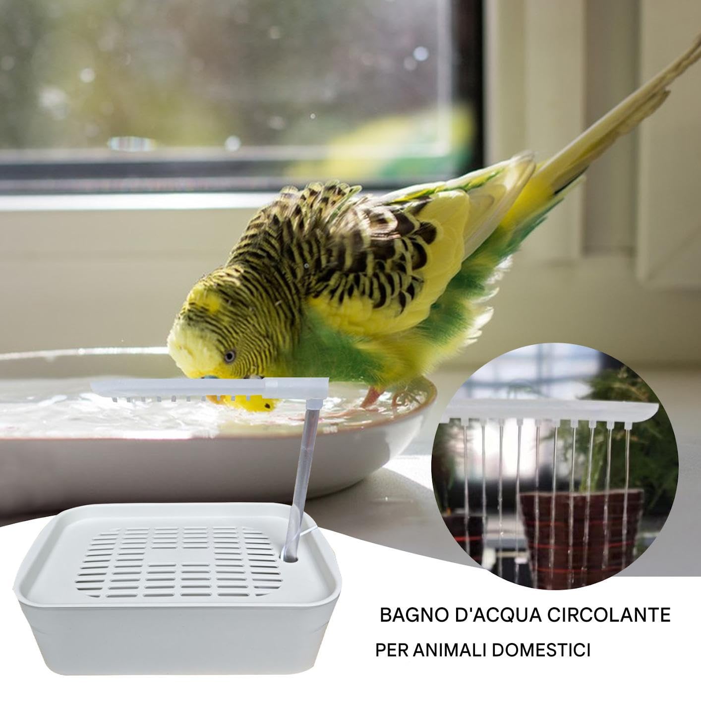d'oiseau, Douche d'oiseau Automatique du Perroquet