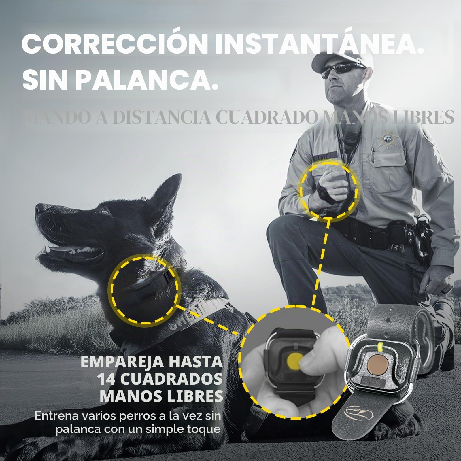 Dogtra 1900X Black Edition E-Collar – Rango de 1 Milla, Perros 45 Libras +, IPX9K Impermeable, 100 Niveles de estimulación, vibración, Tono, Recargable, Ideal para dueños de Perros y Entrenadores