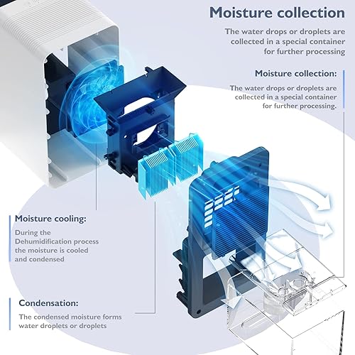 Miniatura 6 de Deshumidificador  Depósito de agua de 40 onzas, cobertura (350 pies cuadrados), apagado automático, luz LED, azul y blanco