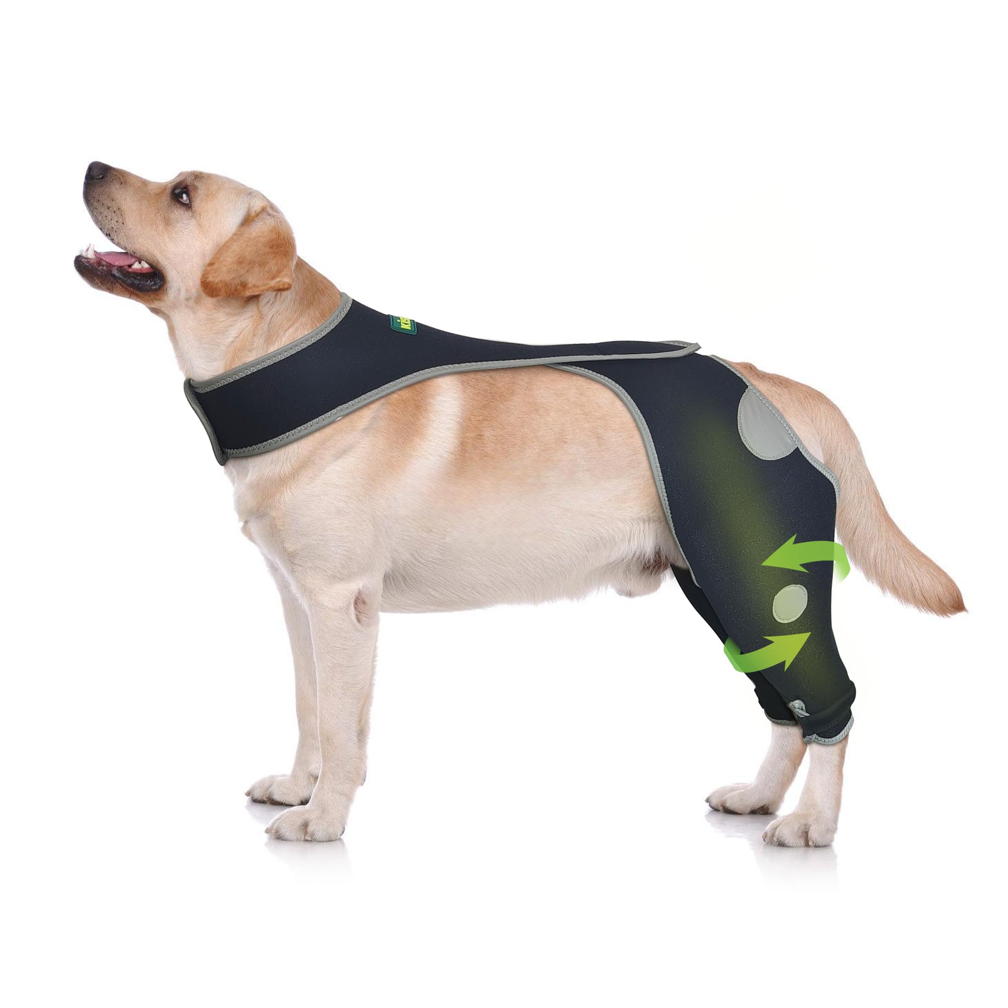 KISFLY Dog Hind Leg Recovery Sleeve – Licking Prevention & Wound Protection for Back Leg – Rear Leg Brace with Reflective Material – Cone Alternative