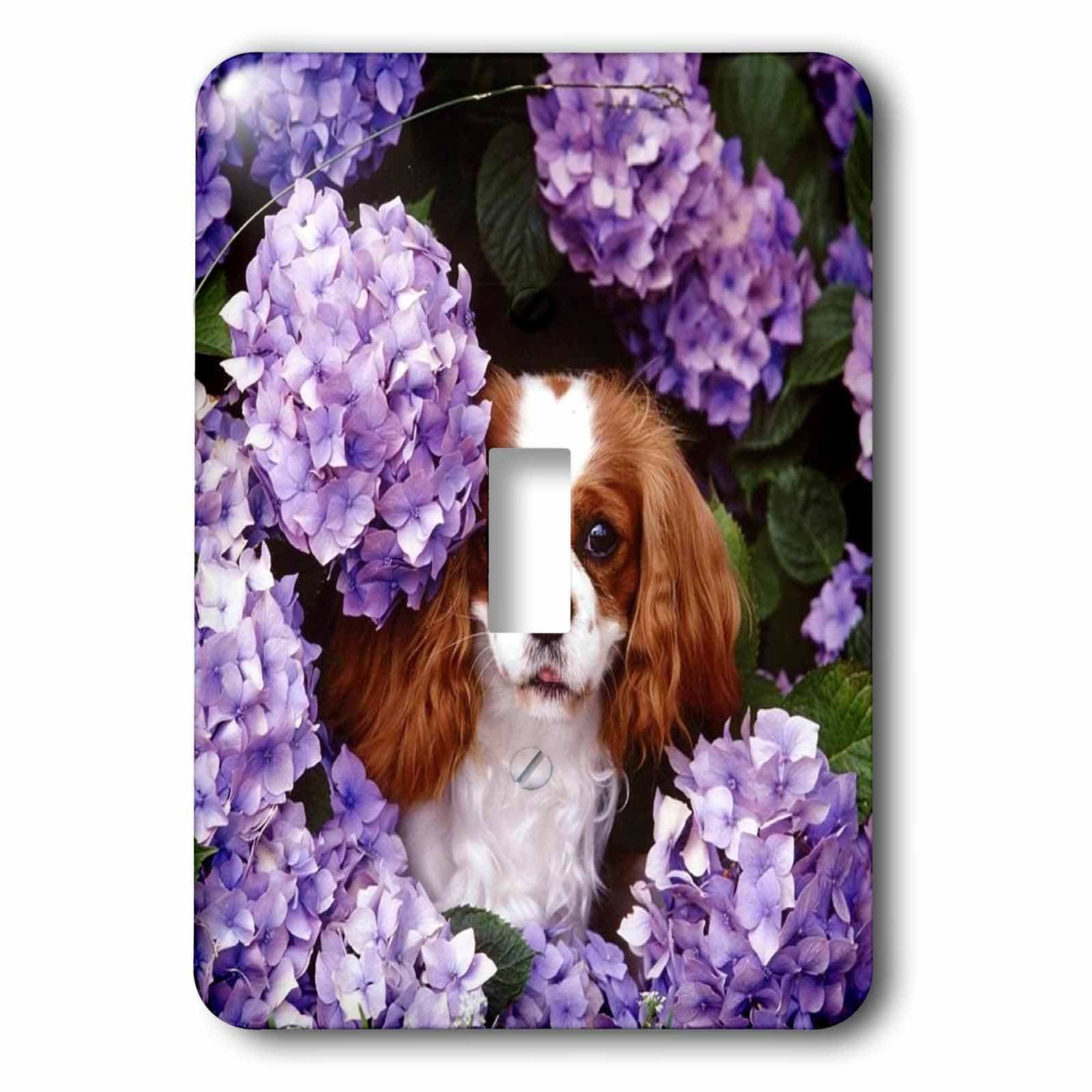 Interrupteur Cavalier King Charles Spaniel 3dRose pour sublimer le salon des passionnés
