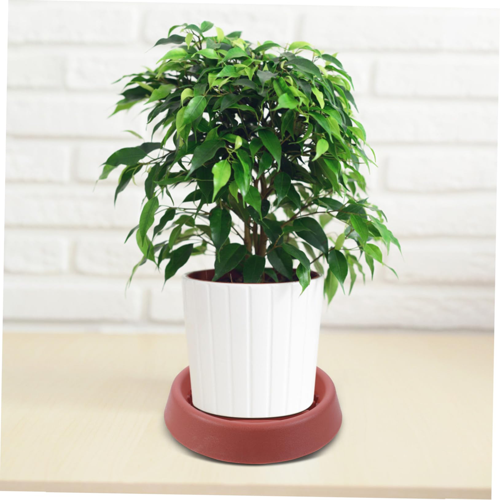 Yardwe 3 Set Vaschetta dell'Acqua Piante Giardino Esterno Vaso di Fiori Vassoi Punte Autoirriganti Fioriere Autoirriganti Sottovasi da Fiori Fioriera Rotonda Pianta Plastica 4 Pezzi * 3