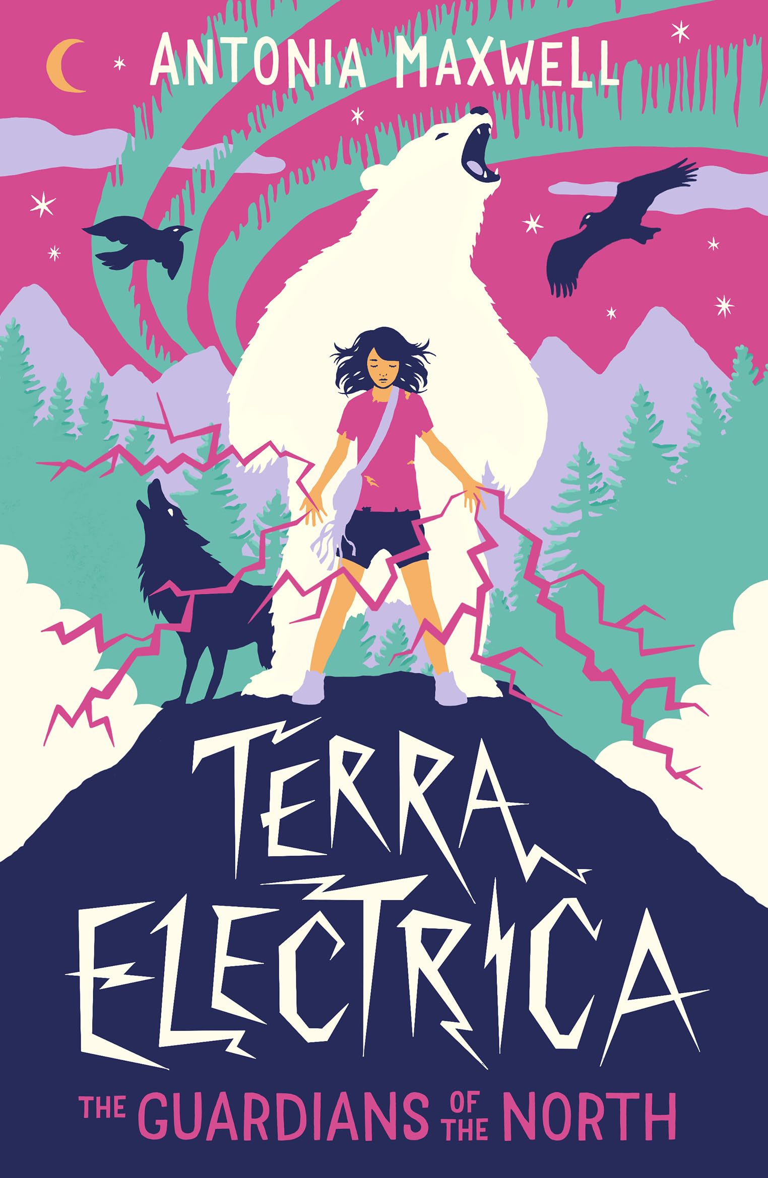 Terra Electrica: The Guardians of the North – post-melt climate fiction adventure story for children: 1 (Terra Electrica, 1)