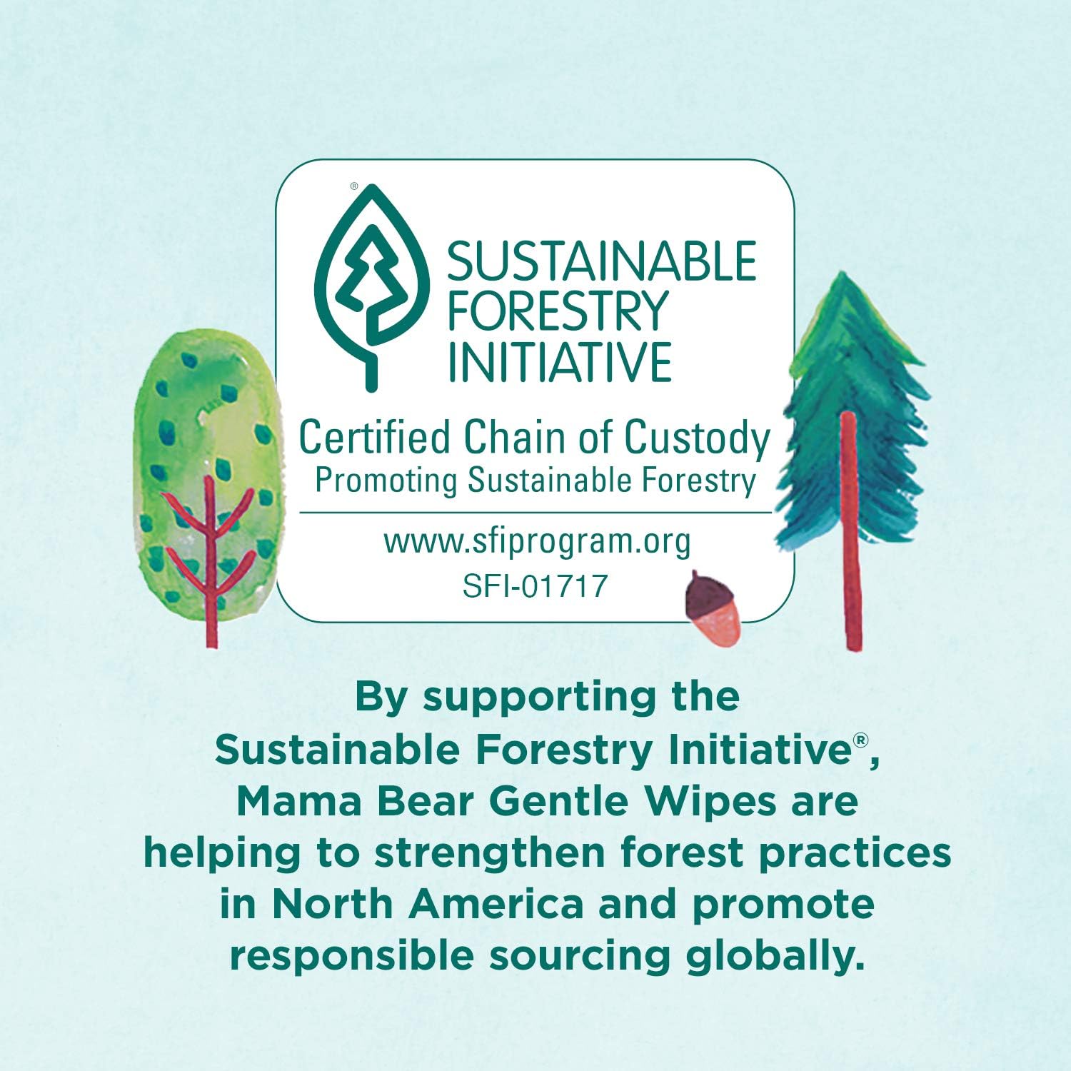  Brand - Mama Bear Gentle Fragrance-Free Baby Wipes, Hypoallergenic, 800 Count, 100 Count (Pack of 8) : Baby