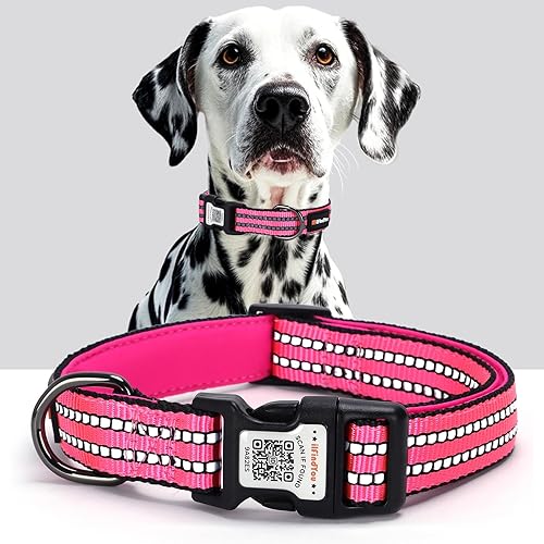 Miniatura 33 de Collar reflectante para perro con etiqueta de código QR, collar de perro personalizado, visibilidad nocturna de seguridad, función antipérdida Negro