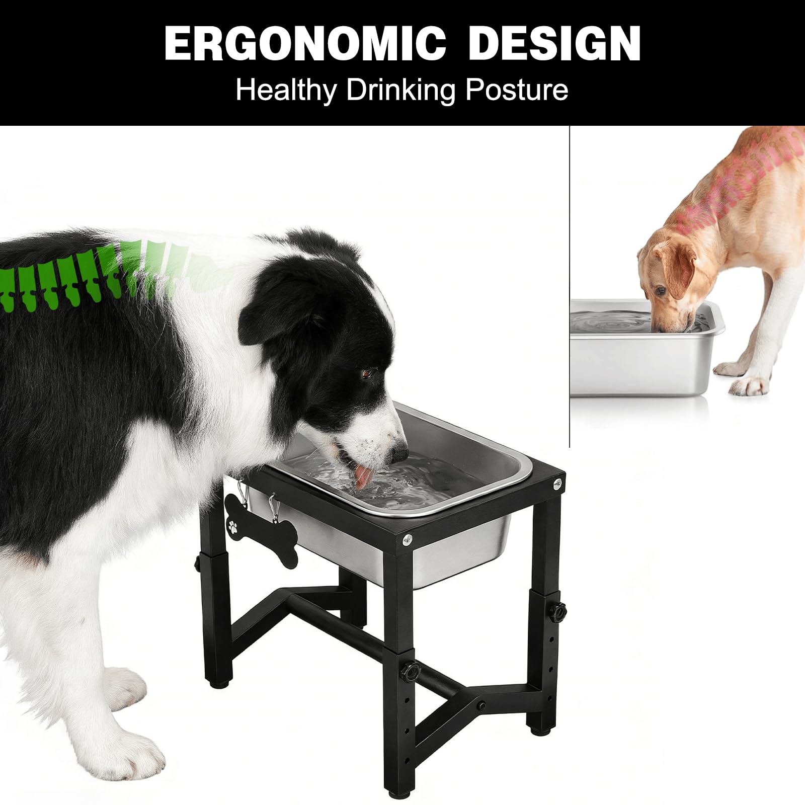 Cuenco de agua grande elevado para perros de 1.2 galones, 4 alturas ajustables de 7.8 pulgadas, 9.2 pulgadas, 10.6 pulgadas, 12 pulgadas, soporte elevado de acero inoxidable para razas pequeñas