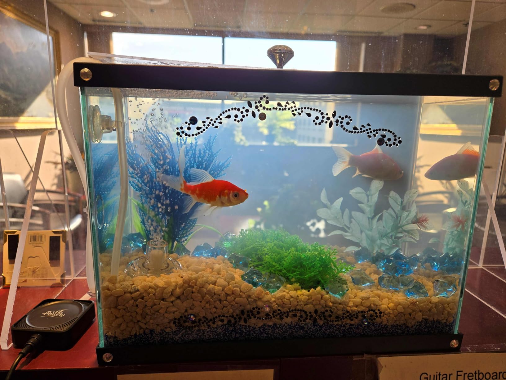 Customer Image