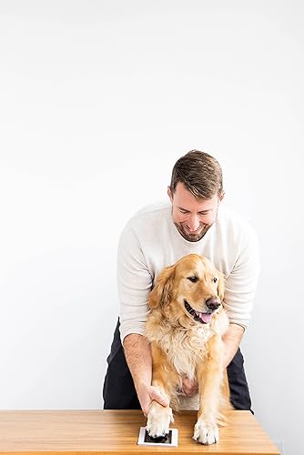 Miniatura 9 de Pearhead Clean-Touch - Paquete de 4 almohadillas de tinta para huellas de manos o huellas de bebé, almohadilla de tinta para huellas de gatos o