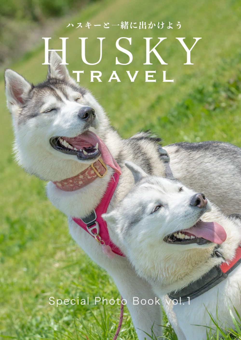 HUSKY TRAVEL: ハスキーと一緒に出かけよう | Husky Teo Family |本  