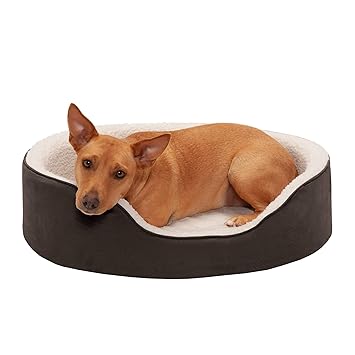 FurHaven Pet Dog Bed | Orthopedic Oval Lounger Pet Bed for Dogs & Cats, Espresso, Large