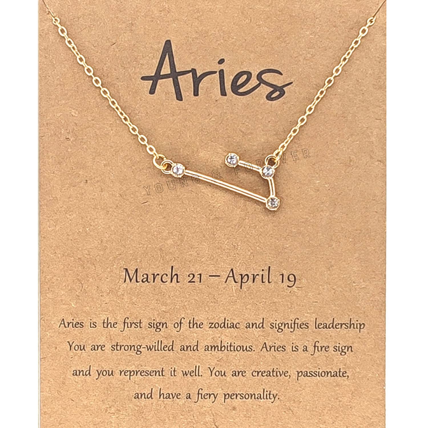 Young & Forever18K Gold Plated 12 Zodiac Sign Constellation Letter Pendant Necklace for Women Girls, 18" Birthday Gift