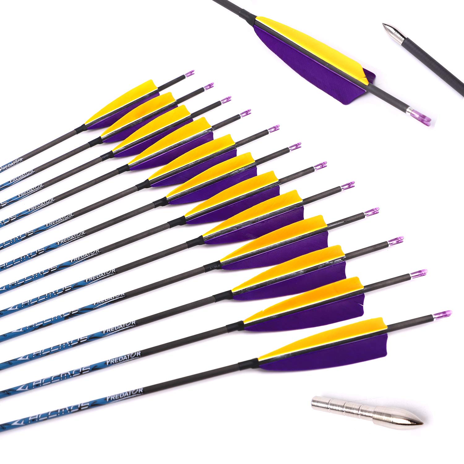 ACCMOS 12 Pezzi Caccia Freccia di Carbonio ID 4,2 mm Spine 300 350 400 500 600 700 800 900 1000 con 4 "Piuma di Tacchino per Tiro con L'Arco Tiro Accessori per Arco