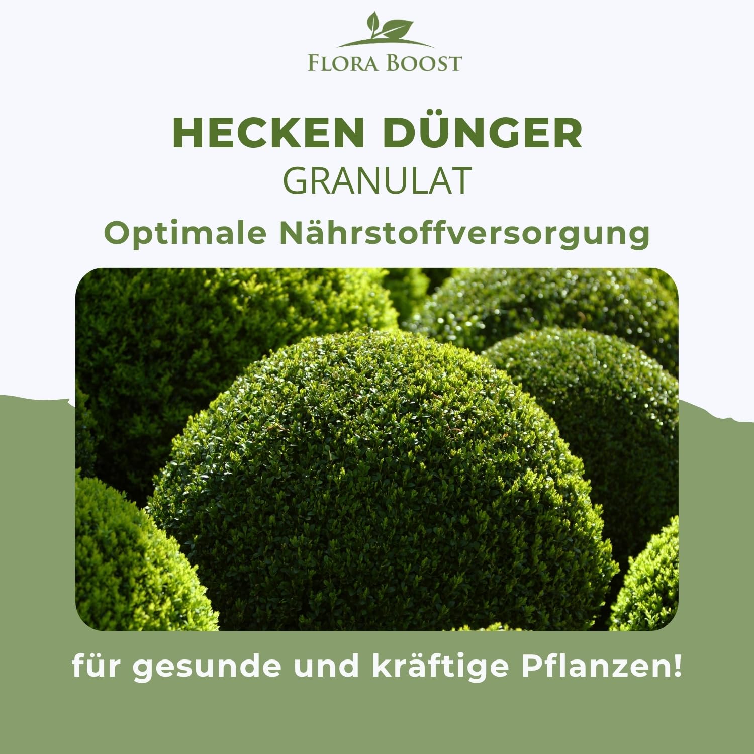 Flora Boost PRO Hecken Dünger 5 kg I Langzeitdünger NPK 8-4-5 für Thuja, Liguster, Hainbuche & Kirschlorbeer I Granulat für dichte Hecken, kräftiges Wachstum & gesunde Pflanzen