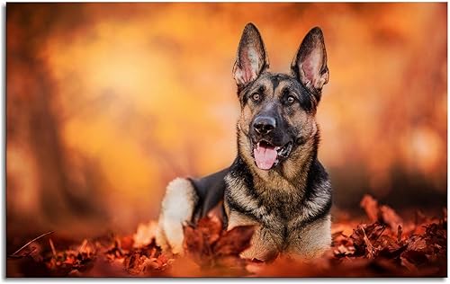 Miniatura 2 de SGRACE Póster de pastor alemán con diseño de animales domésticos del bosque otoñal, arte de pared para decoración del hogar y la oficina con marco,