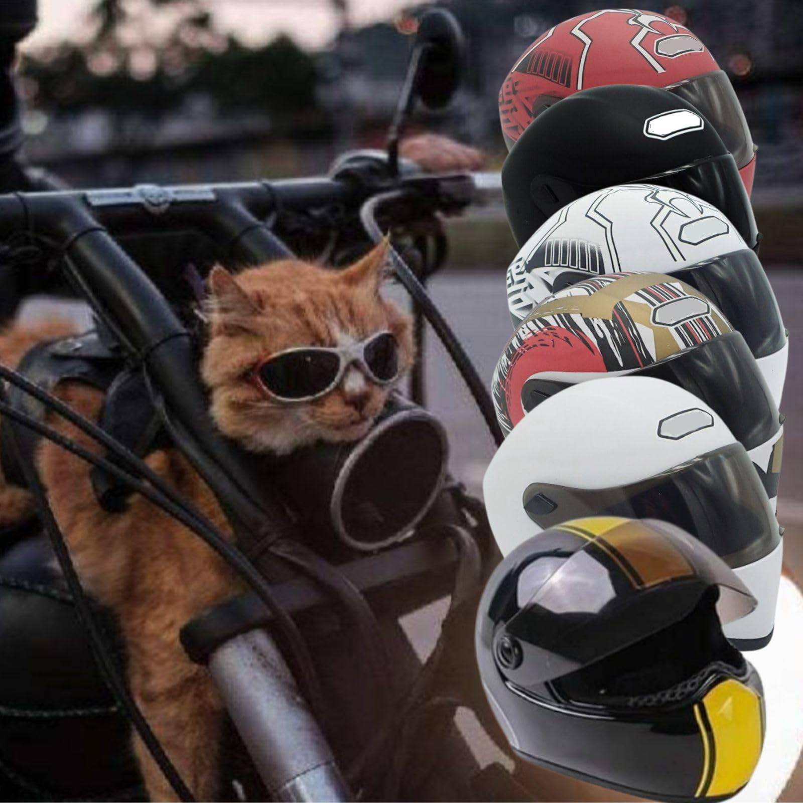 Pet Motorcycle Helmet Dog/Cat Full Face Motorcycle Helmet Outdoor Motorcycle Bike Riding Helmet Hat for Cat Dog Doggie Puppy Kitten Pet Supplies Racing Car Fan Collectible Small Gift (Black-Yellow)