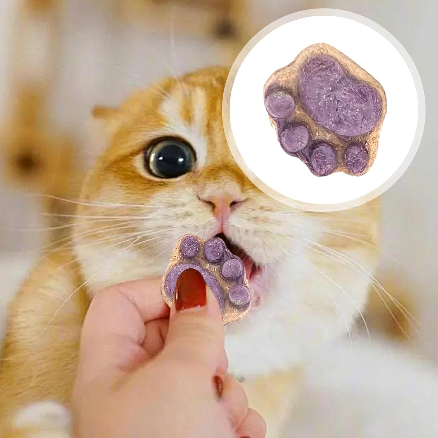 10pcs Paw Shaped Cat Snack Kittens Foods Treat Cat Oral Cleaning Snacks Cats Treat Selection Cats Grass Sticks For Indoor 5g 4 71t 5oTn8YL. AC SL1500