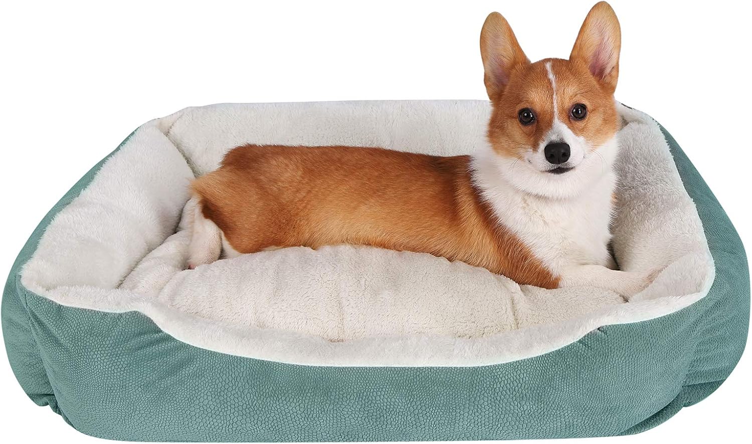 JEMA Rectangle Dog Bed - Lounger for Dogs & Cats with Self Warming Cozy Inner Plush Cushion, Non Slip Waterproof Bottom, Medium Cuddler Pet Bed with Removable Pillow