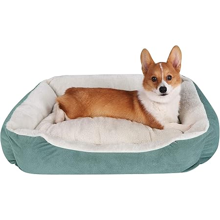 Dog bed with removable pillow Clearance