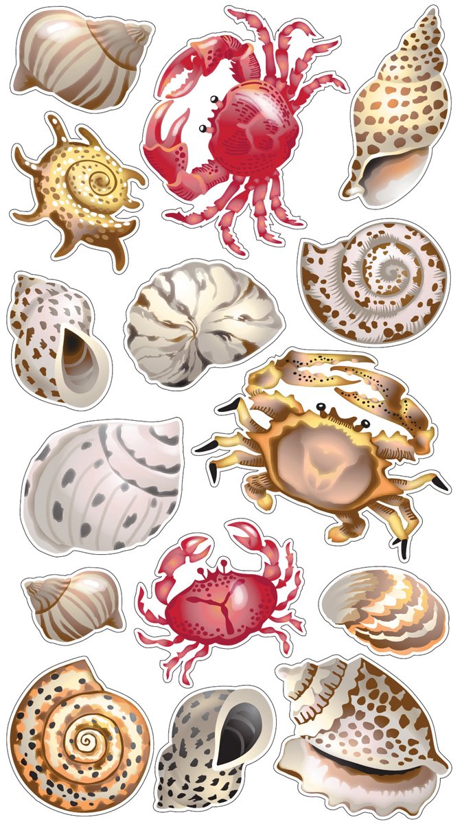 Sticko Sticker Themed-Shells and Crabs SPCLS311