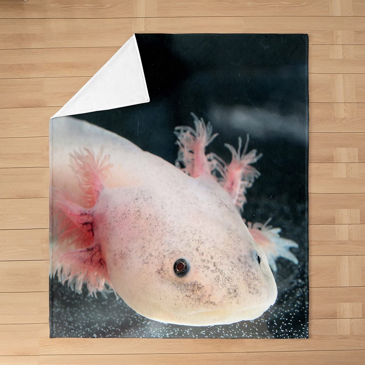 Axolotl - Coperta in pile per ragazze e ragazzi, 152,4 x 203,2