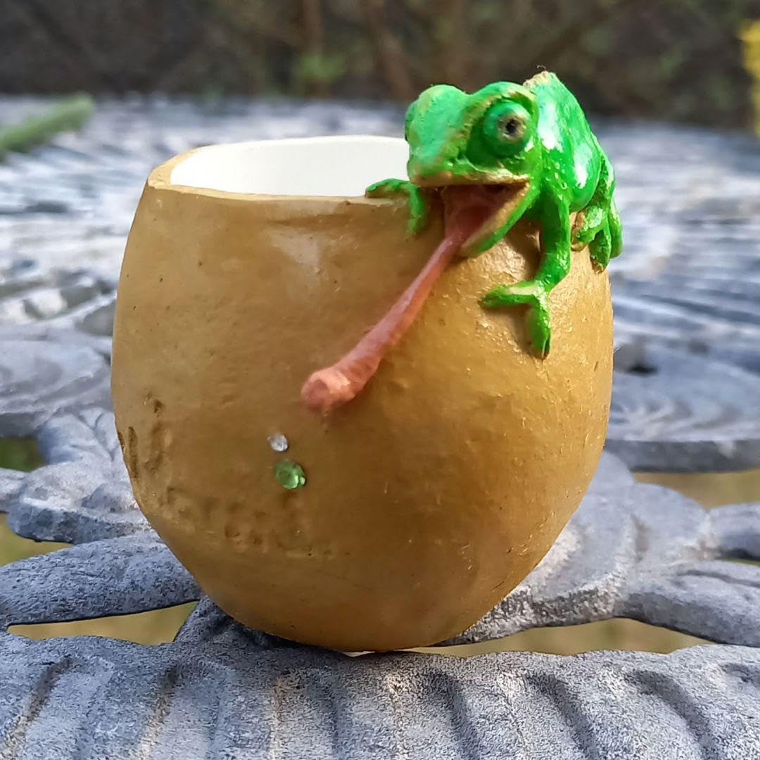 Amazon.co.jp: カメレオンのミニ鉢 植木鉢 多肉植物鉢 : DIY・工具  