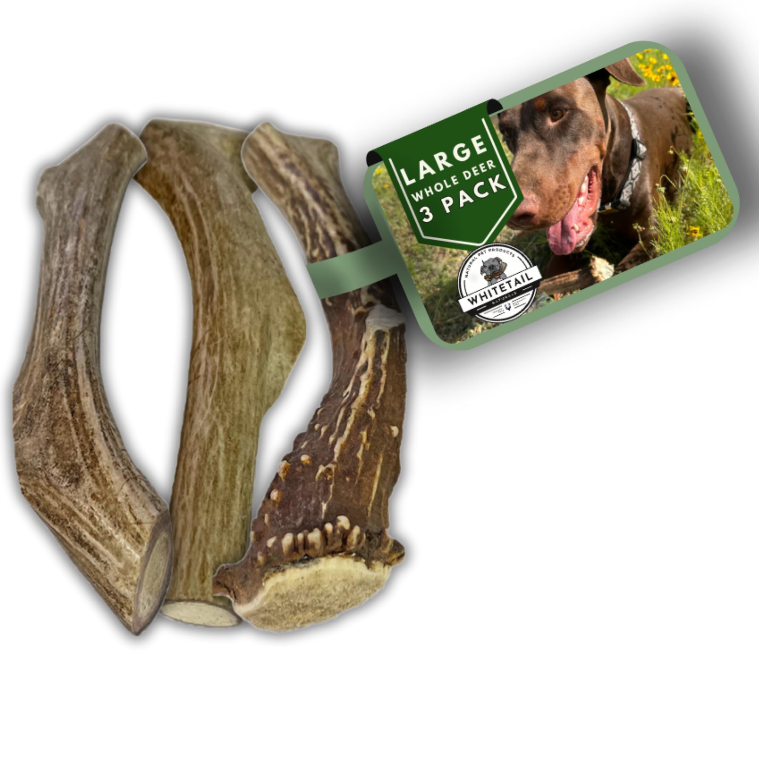 WhiteTail Naturals (3 Pack Deer Antlers for Large Dogs, Antler Dog Chews - Crafted in USA Dog Antler - Long Lasting Bone for Aggressive Chewers