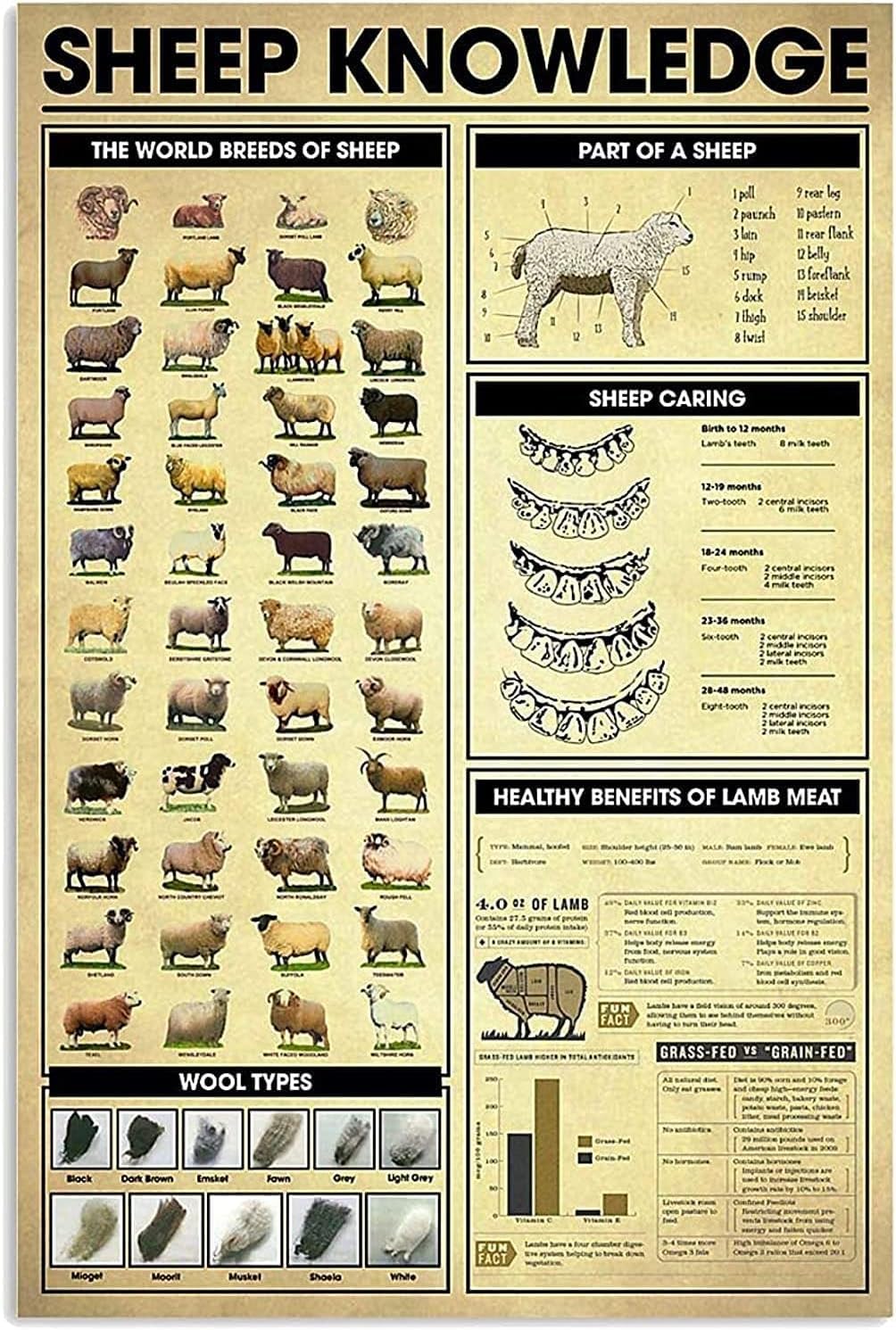 The World Breeds Of Sheep Metal Tin Signs Sheep Knowledge Retro Posters Far