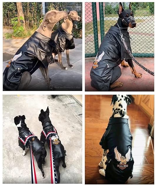 Foto 5 de 7 de DHGTEP Abrigo de Perro Grande Chaqueta de Cuero de La PU Lujo Suave Perro Parka Abrigo Otoño Invierno…