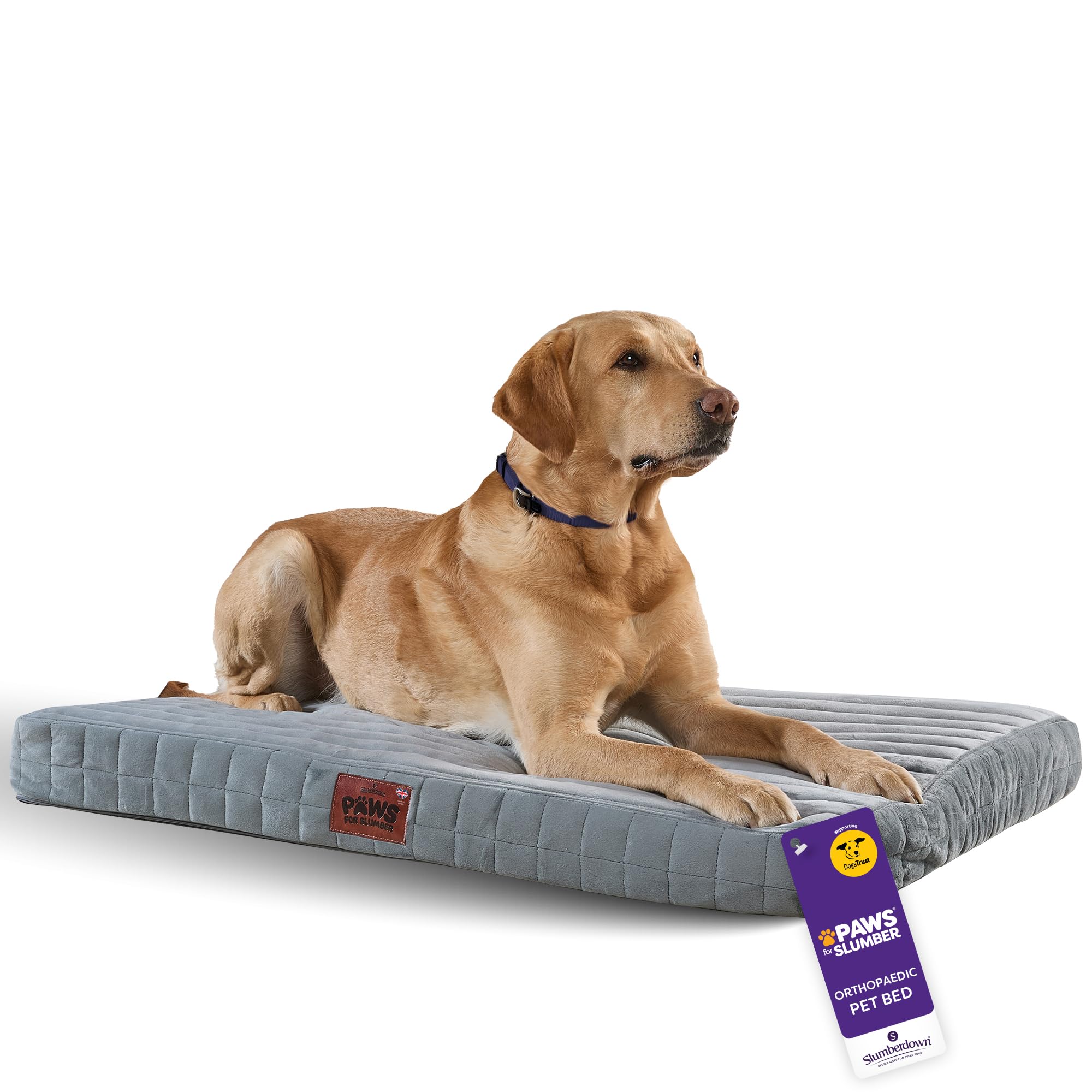 Slumberdown Orthopedic Large Dog Bed - Supportive, Cushioned & Washable Crate Mattress for Dogs & Cats | UK-Made, Joint & Pressure Relief, Edge-to-Edge Support, Grey