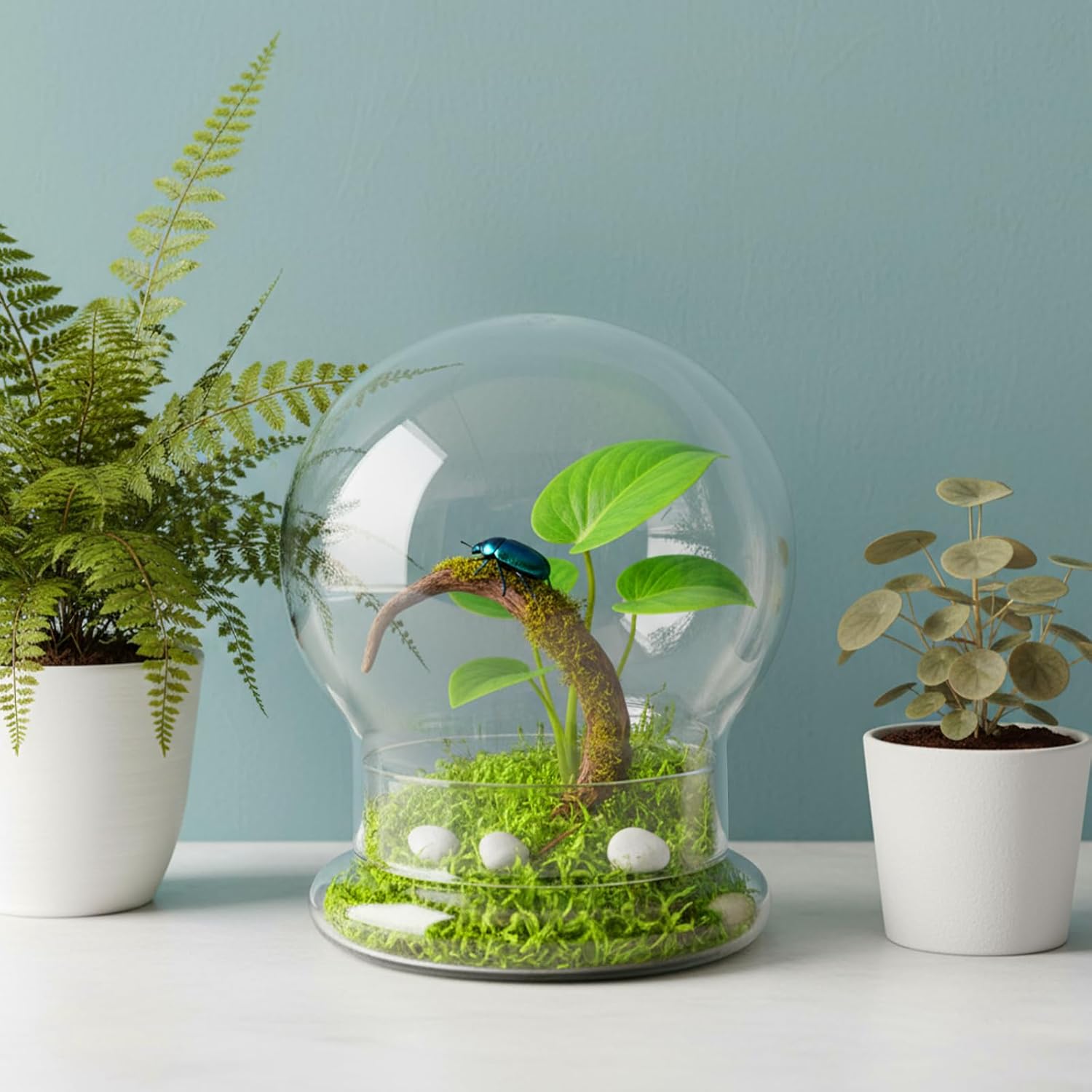2 Pack Round Glass Cloche Domes with Air Hole and Base, 4.6 X 6.6 Inches Clear Terrarium Planter, Cloche Planters, Terrarium Bell Jar, Humidity Dome for Plants, Borosilicate Glass