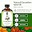 SVA Cucumber Seed Oil - 4 Fl Oz - 100% Natural Cold Pressed Cucumber Oil - for Face, Skin Care, Hair Care, Scalp Massage & Body Massage - Carrier Oil with Dropper