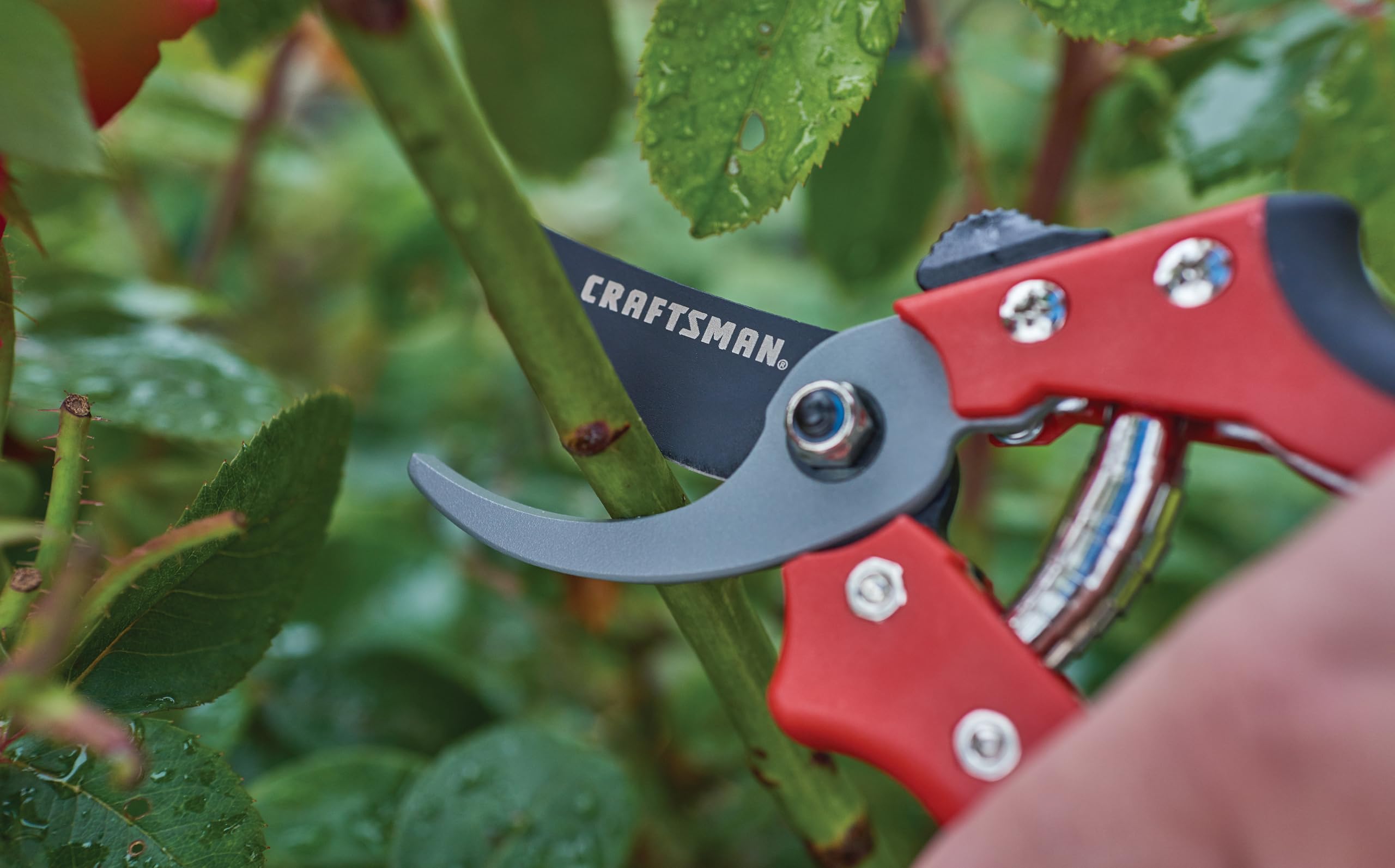 その他 Trim machine Amazon.com : Craftsman 3/4-in. Manual Cut Bypass Pruner : Patio