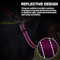 Vista 6 de Nylon Personalized Dog Collar with Embroidered Name & Phone, Customizable, Reflective Strip, Soft Neoprene Lining, Durable Metal Buckle - Matching