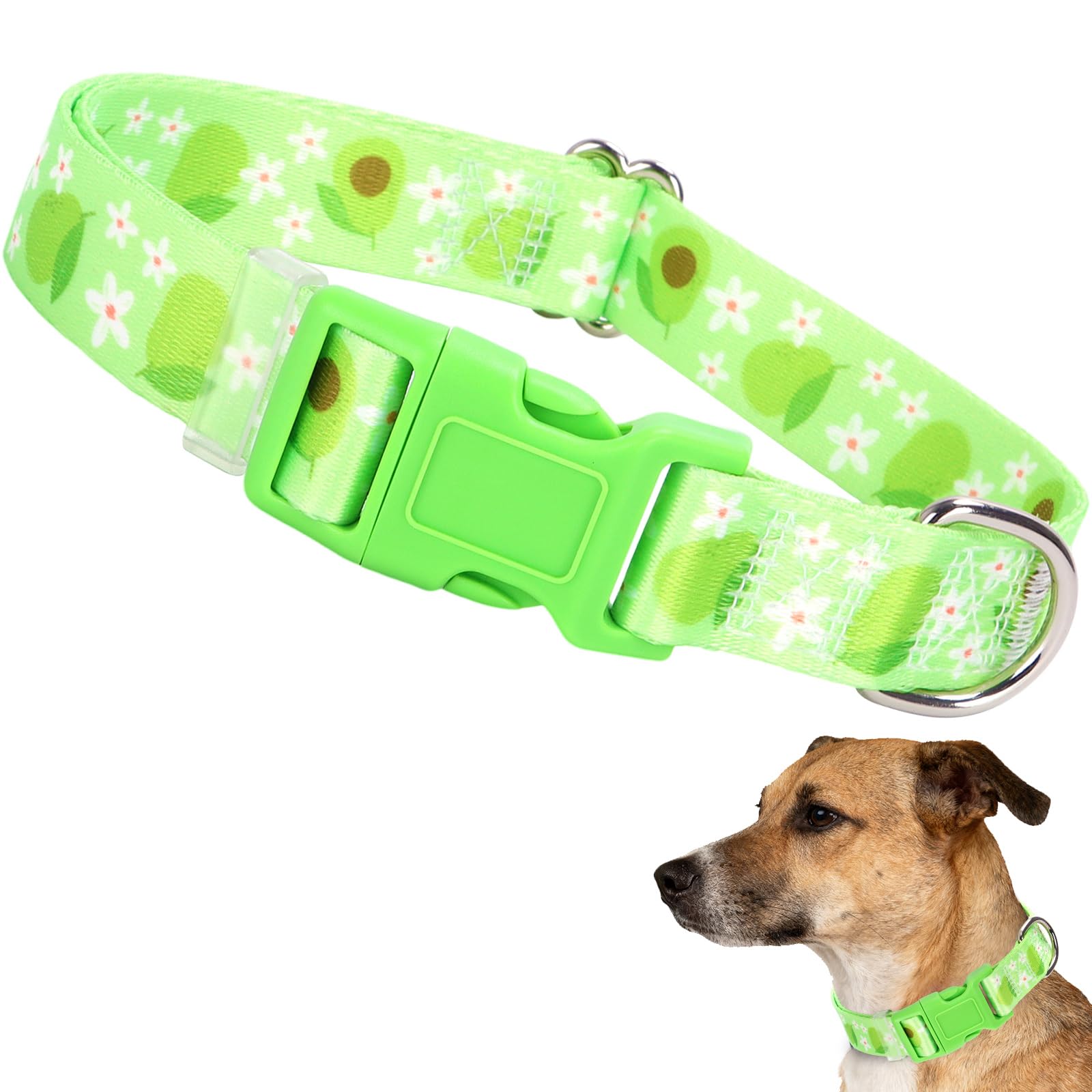 Green Avocado Dog Collar for Small Dogs,Soft Nylon Adjustable Cute Dog Collars for Small Medium Large XL Girl or boy Dogs(Avocado S)