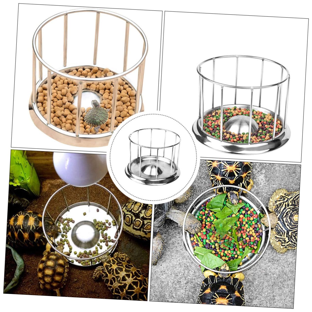 COLLBATH Mangiatoia per Tartarughe in Acciaio Inossidabile Argento Superficie Liscia e Forma Rotonda Sicura per Rettili e Piccoli Animali Domestici