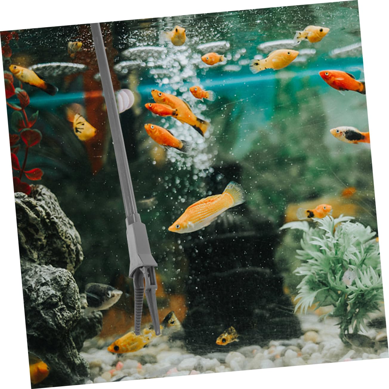 Kisangel 8 Piezas Clip De Plantación Acuática Herramientas De Terrario Pinzas De Alimentación Largas Pinzas para Acuarios Clip De Limpieza De Algas Tanque De Peces El Plastico Dark Grey