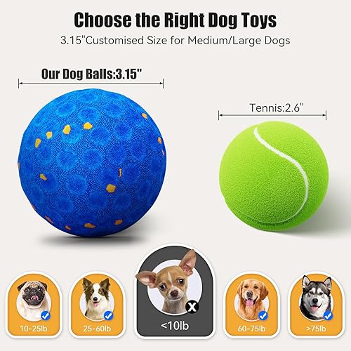 Interactive Dog Toys — lifestyle photo